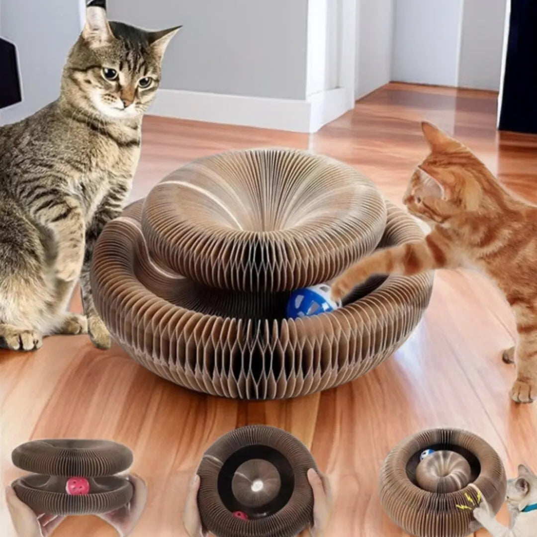 Foldable Cat Scratcher Donut — Interactive Cardboard Toy & Scratching Pad