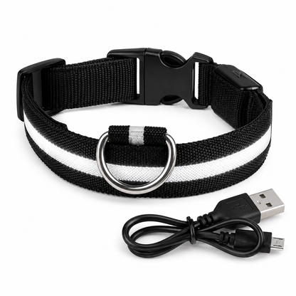 Rechargeable LED Dog & Cat Collar — USB Glow Safety Collar for Night Walks