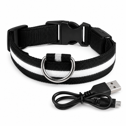Rechargeable LED Dog & Cat Collar — USB Glow Safety Collar for Night Walks