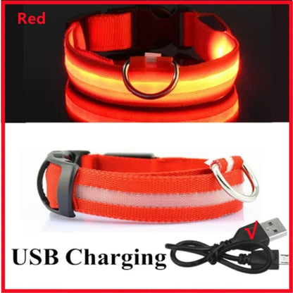 Rechargeable LED Dog & Cat Collar — USB Glow Safety Collar for Night Walks