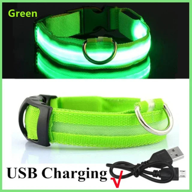 Rechargeable LED Dog & Cat Collar — USB Glow Safety Collar for Night Walks