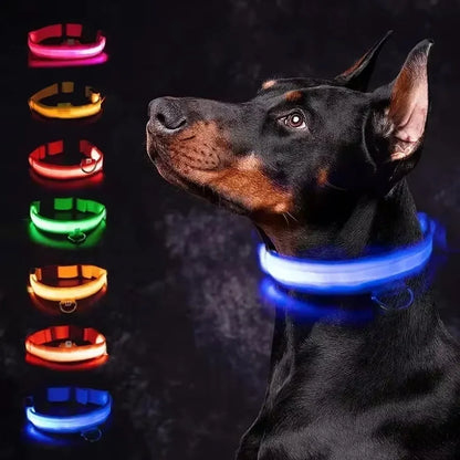 Rechargeable LED Dog & Cat Collar — USB Glow Safety Collar for Night Walks
