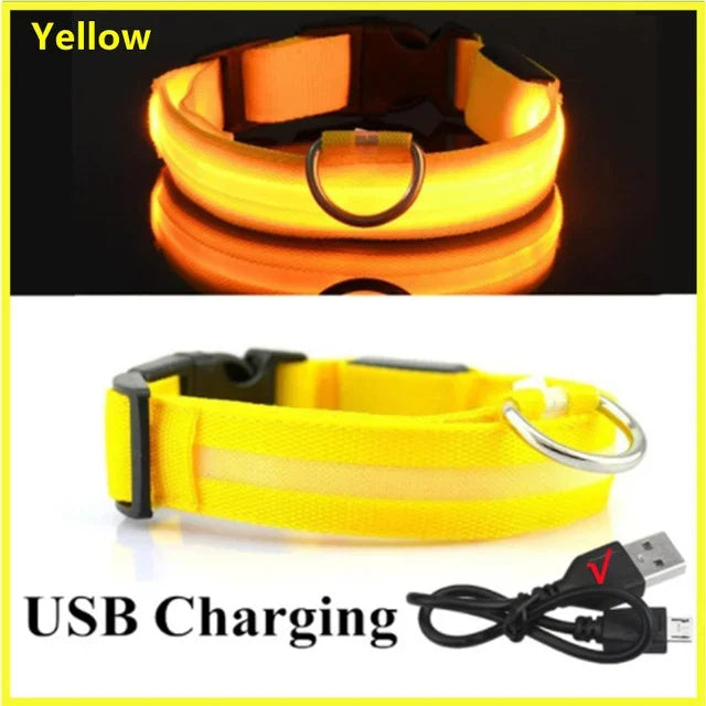 Rechargeable LED Dog & Cat Collar — USB Glow Safety Collar for Night Walks
