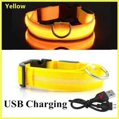 Rechargeable LED Dog & Cat Collar — USB Glow Safety Collar for Night Walks