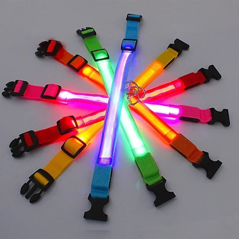 Rechargeable LED Dog & Cat Collar — USB Glow Safety Collar for Night Walks