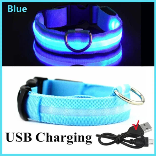 Rechargeable LED Dog & Cat Collar — USB Glow Safety Collar for Night Walks
