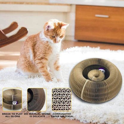 Foldable Cat Scratcher Donut — Interactive Cardboard Toy & Scratching Pad
