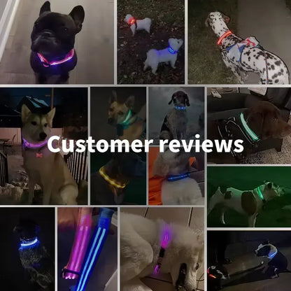 Rechargeable LED Dog & Cat Collar — USB Glow Safety Collar for Night Walks