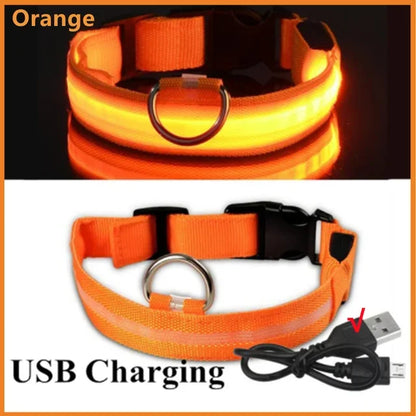 Rechargeable LED Dog & Cat Collar — USB Glow Safety Collar for Night Walks