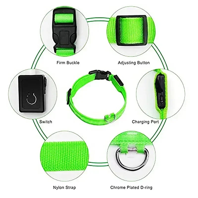 Rechargeable LED Dog & Cat Collar — USB Glow Safety Collar for Night Walks