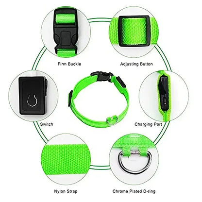 Rechargeable LED Dog & Cat Collar — USB Glow Safety Collar for Night Walks