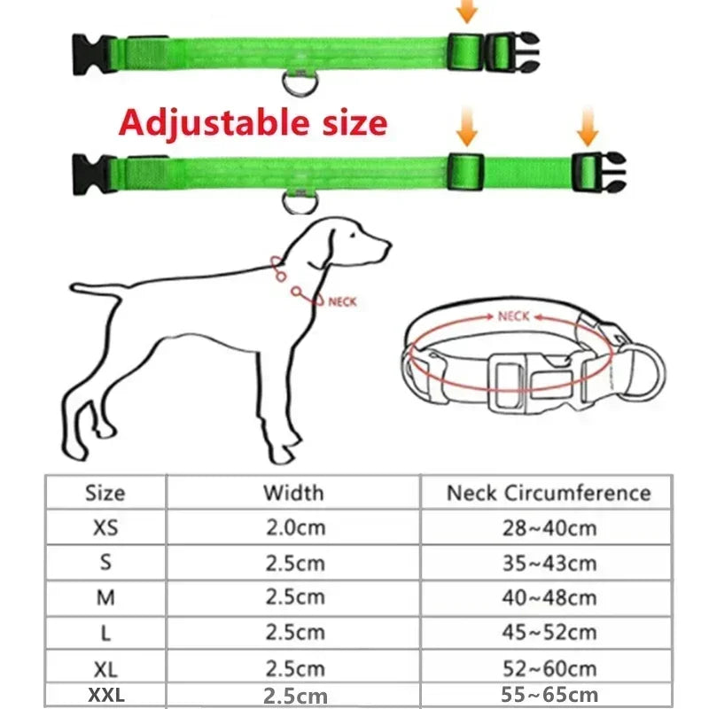 Rechargeable LED Dog & Cat Collar — USB Glow Safety Collar for Night Walks
