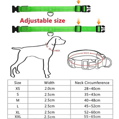 Rechargeable LED Dog & Cat Collar — USB Glow Safety Collar for Night Walks