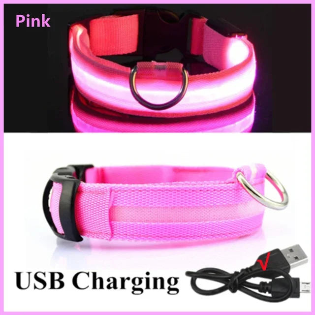 Rechargeable LED Dog & Cat Collar — USB Glow Safety Collar for Night Walks
