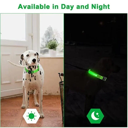 Rechargeable LED Dog & Cat Collar — USB Glow Safety Collar for Night Walks