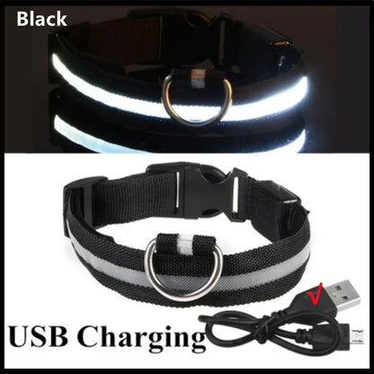 Rechargeable LED Dog & Cat Collar — USB Glow Safety Collar for Night Walks